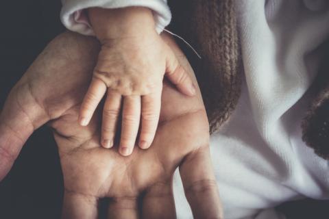 immagine con una mano di adulto che accoglie quella di un bambino per evocare il tema Affidamento