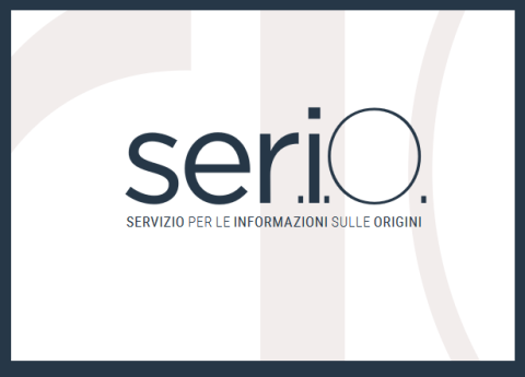 logo grafico del Servizio Ser.Io